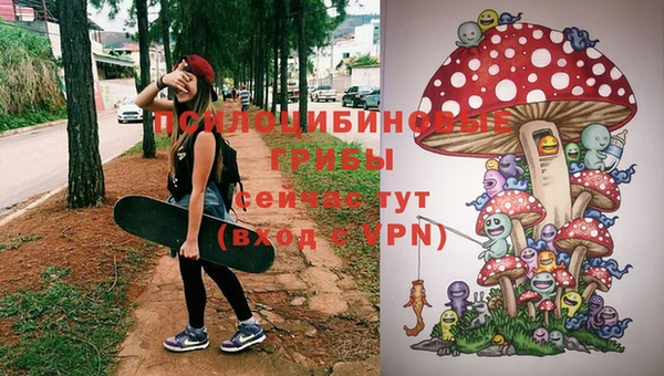 тгк Абинск