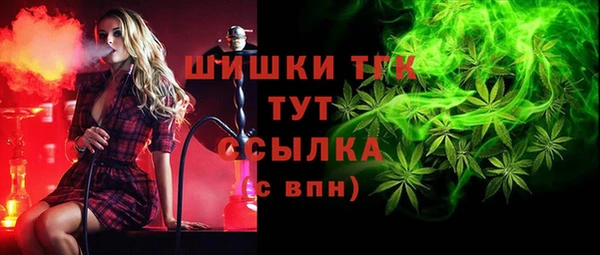 гашик Елизово