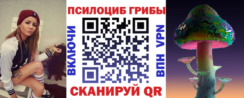 Псилоцибиновые грибы Cubensis  Зеленогорск 